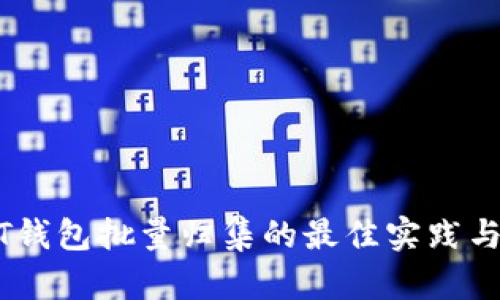 USDT钱包批量归集的最佳实践与技巧