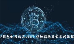 :TP钱包如何购买USDT：详细指南与常见问题解析