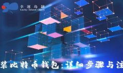   如何安装比特币钱包：详细步骤与注意事项