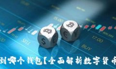  屎币提现到哪个钱包？全面解析数字货币提现方