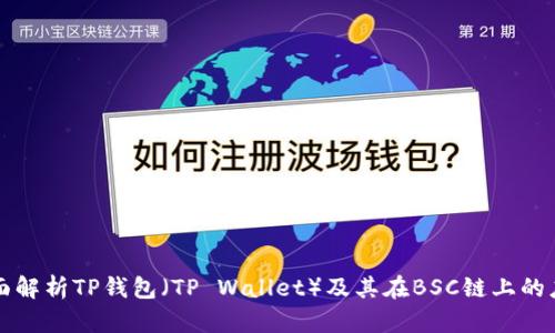 全面解析TP钱包（TP Wallet）及其在BSC链上的应用