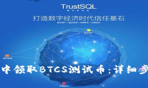 如何在TP钱包中领取BTCS测试币：详细步骤与注意事项