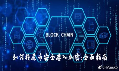如何将屎币安全存入加密：全面指南